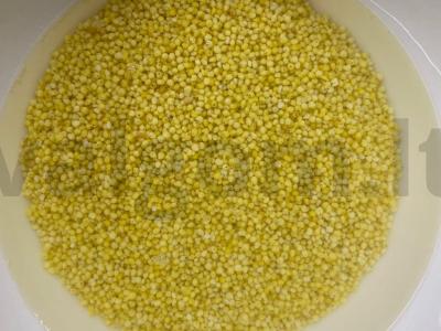 Pieno košė su soromis ir moliūgais Žingsnis 2