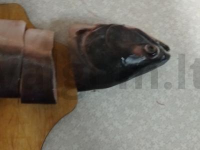 Žuvies sriuba su kiaušiniais Žingsnis 1