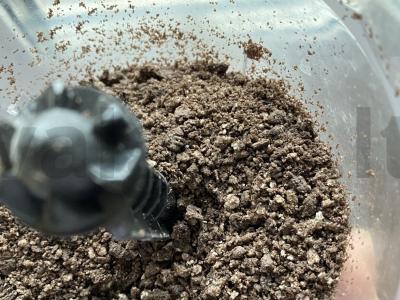 Trijų ingredientų pyragas pops Žingsnis 2