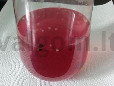 Mėlynių ir melasos kąsneliai pagrindine nuotrauka