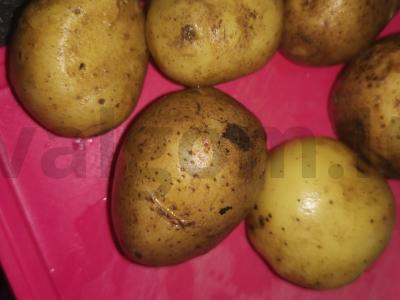 Šoninėje kepta bulvių košė Žingsnis 1