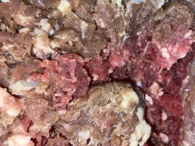 Kriauklės su paslaptimi Žingsnis 1