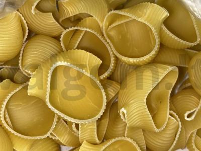 Kriauklės su paslaptimi Žingsnis 2