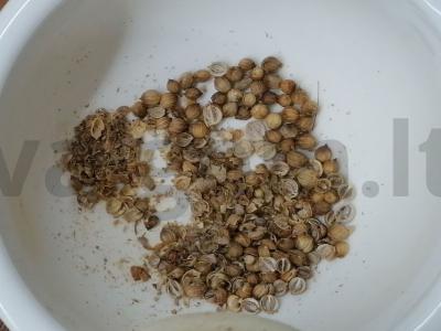 Naminė kiaulienos krūtinėlė aštriuose prieskoniuose Žingsnis 1