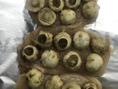 Vištienos filė su pomidorais ir sūriu Žingsnis 1