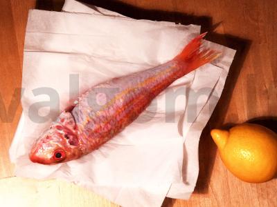 Skumbrė su šiltais pomidorais ir midijomis Žingsnis 1