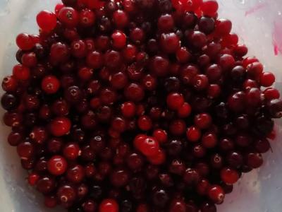 Gaivinantys spanguolių kąsneliai Žingsnis 2