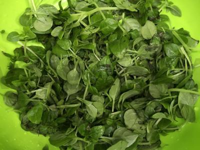 Fusilli su pesto padažu Žingsnis 2
