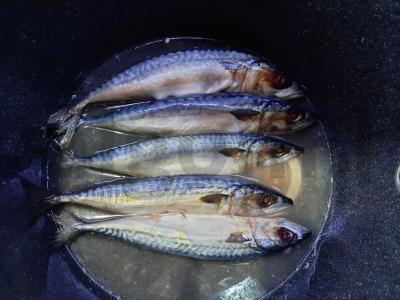 Kepta skumbrė su svogūnais Žingsnis 1
