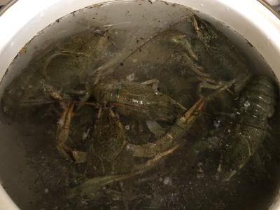 Vėžiai pagal tradicinį receptą Žingsnis 2