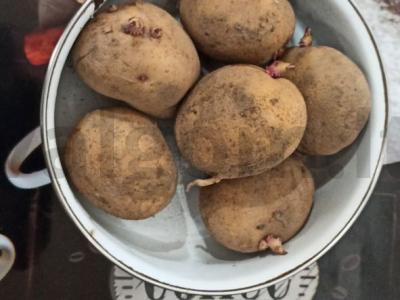 Keptos bulvės su česnakais Žingsnis 1