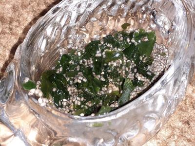 Wakame ir chia paštetas Žingsnis 3