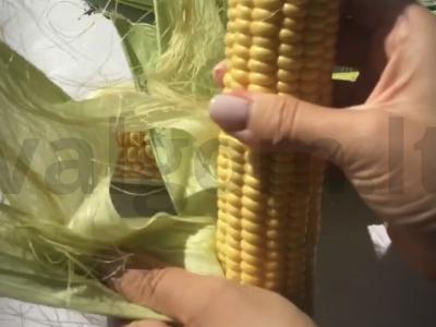 Kepti kukurūzai su Provanso žolelėmis Žingsnis 1
