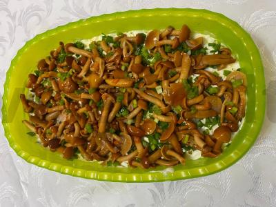 Salotos su marinuotomis opiatais ir rūkyta vištiena pagrindine nuotrauka