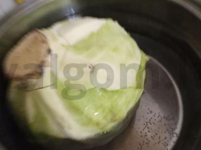 Įdaryti kopūstai su prieskoniais "Tender" Žingsnis 1