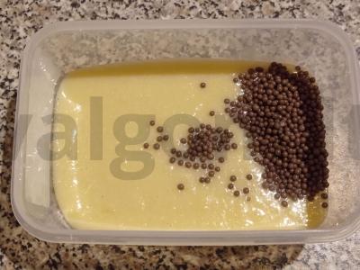 Sūrio triufelis ant baltojo šokolado Žingsnis 5