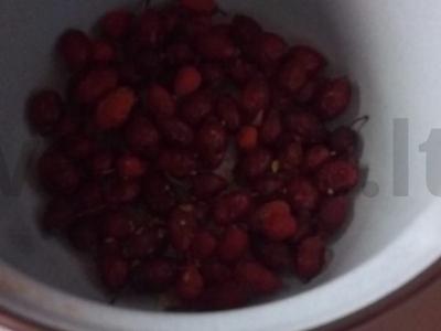 Obuolių ir erškėtuogių košė Žingsnis 1