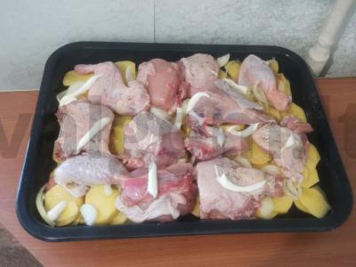 Vištiena Boyarsky Žingsnis 4