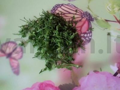 Kiaušinių ir marinuotų agurkų salotos su pikantišku padažu Žingsnis 3