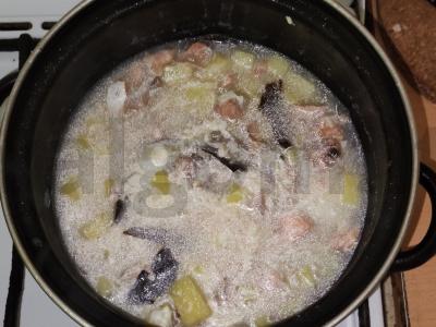 Žuvies sriuba Žingsnis 6