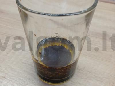 Capricciosa salotos su kumpiu ir mocarela Žingsnis 7