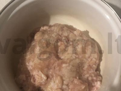 Traškūs čeburekai su vištiena ir majonezu Žingsnis 1