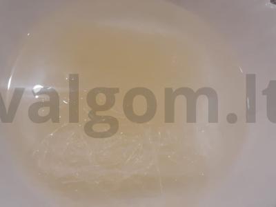 Vištiena terijakio padaže su funchosa Žingsnis 5