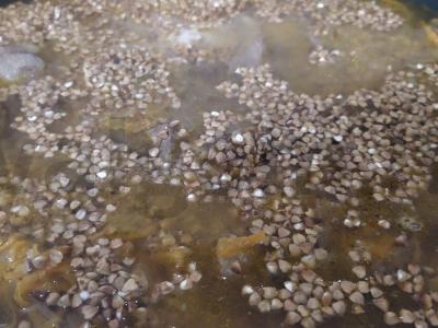 Grikiai, troškinti su marmurine jautiena Žingsnis 4