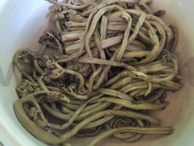 Šiltos paparčių salotos su vištiena Žingsnis 1