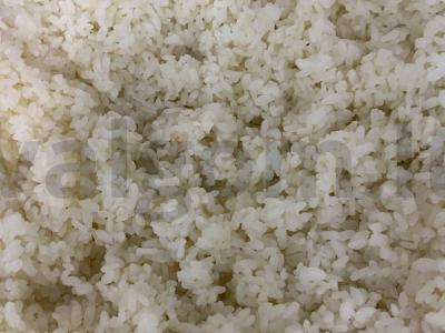 Filadelfijos ritinys. Žingsnis 1