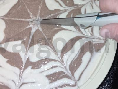 Zebrinis mannikinas Žingsnis 4