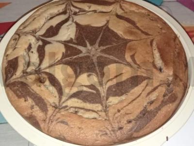 Zebrinis mannikinas pagrindine nuotrauka