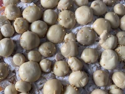 Salotos "Mushroom Glade" su vištiena ir bulvėmis Žingsnis 10