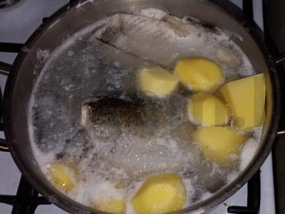 Žuvų pasakų sriuba Žingsnis 5