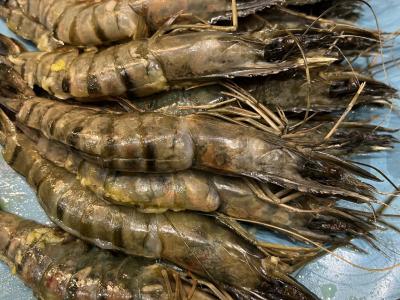 Makaronai su pesto padažu ir tigrinėmis krevetėmis Žingsnis 2