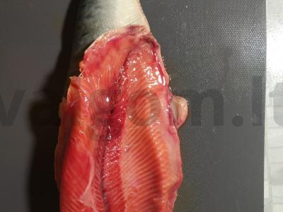 Rausva lašiša apelsinų ir citrinų marinate "Tsarskaya" Žingsnis 2