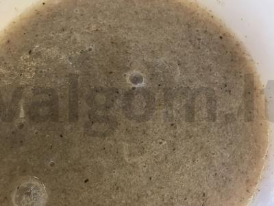 PP varškės koldūnai Žingsnis 2