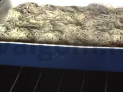 Įdaryti mėsos piršteliai Žingsnis 5