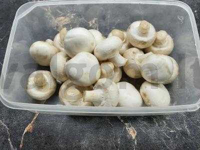 Šampinjonai, kepti grietinėlėje Žingsnis 1