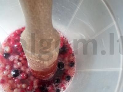 "Mors" "Serbentų asorti su mėtomis" Žingsnis 5