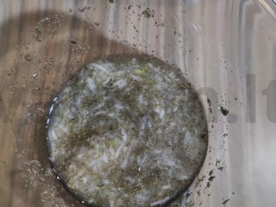 Traškūs suktinukai su česnakiniu padažu ir sūrio plutele Žingsnis 5