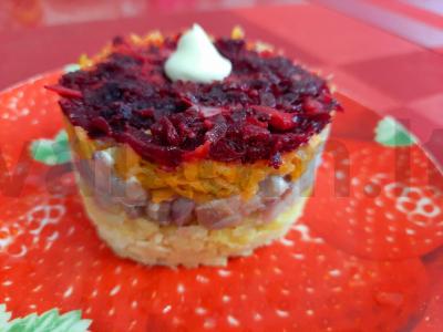 Silkė po paltu pagrindine nuotrauka