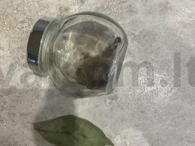 Jautienos liežuvis Žingsnis 2