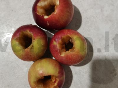 Kepti obuoliai Žingsnis 1