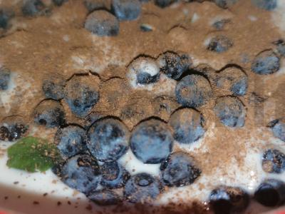 Varškės ir mėlynių PP desertas su aštriu cinamonu pagrindine nuotrauka