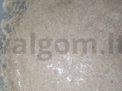 Šokoladinis mannikinas Žingsnis 1