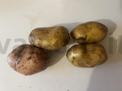 Keptos bulvės su prieskoniais Žingsnis 1