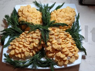 Salotos "Kūgis" pagrindine nuotrauka