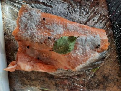 Lengvai sūdyti upėtakiai maistinėje plėvelėje Žingsnis 1