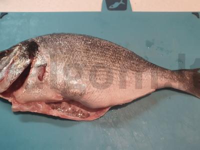 Kepta dorada su traškia plutele Žingsnis 1